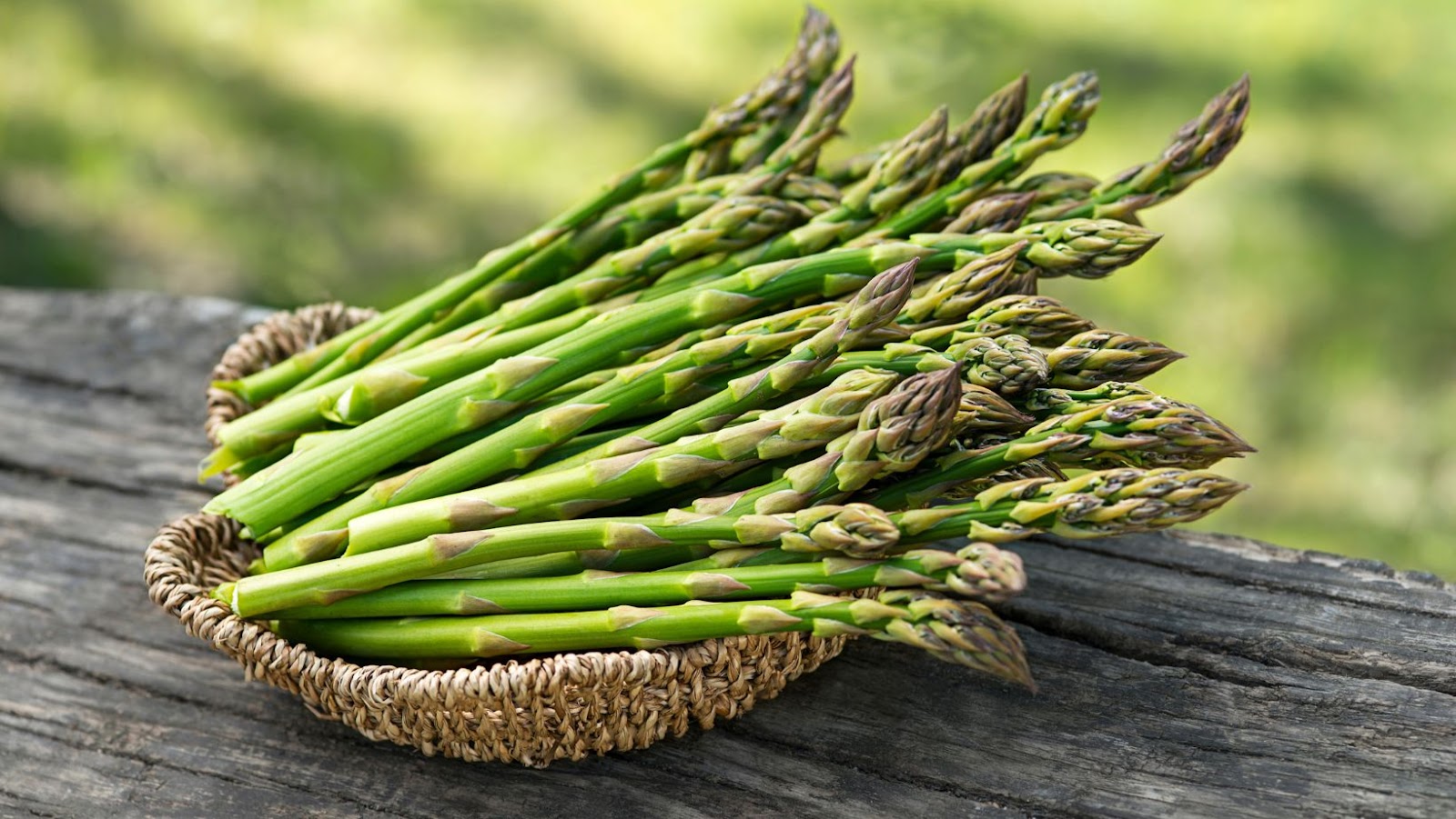FAQs about Asparagus and Dogs